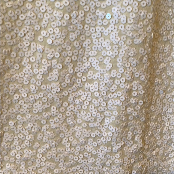 JCrew sequin Vneck tank - Picture 3 of 3